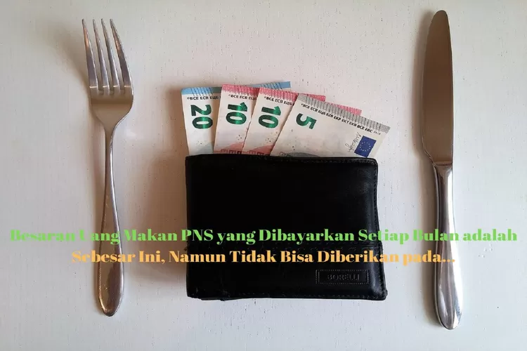 Segini Besaran Uang Makan PNS Yang Dibayarkan Setiap Bulan Tidak Bisa