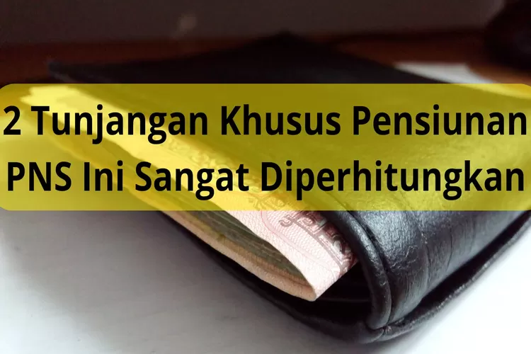 Gaji Ke 13 Pensiunan PNS 2024 Hampir Cair Dua Tunjangan Khusus Ini