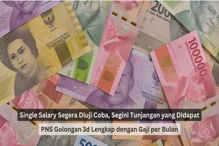 Single Salary Segera Diuji Coba Segini Tunjangan Yang Didapatkan Pns