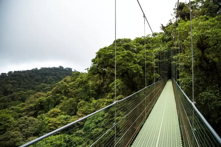 Jembatan Gantung Terpanjang Di Jawa Barat Bahkan Asia Tenggara