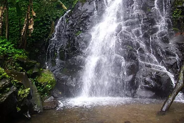 Menyelami Keindahan Alam Yang Mempesona Eksplorasi Seru Di Air Terjun