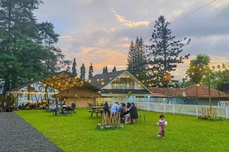 Ngopi Sambil Ditemani Pemandangan Gunung Dan Sawah Di Kopi Salacca