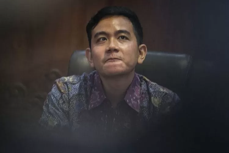 Rekam Jejak Harta Gibran Rakabuming Maju Bacawapres Prabowo Total Aset