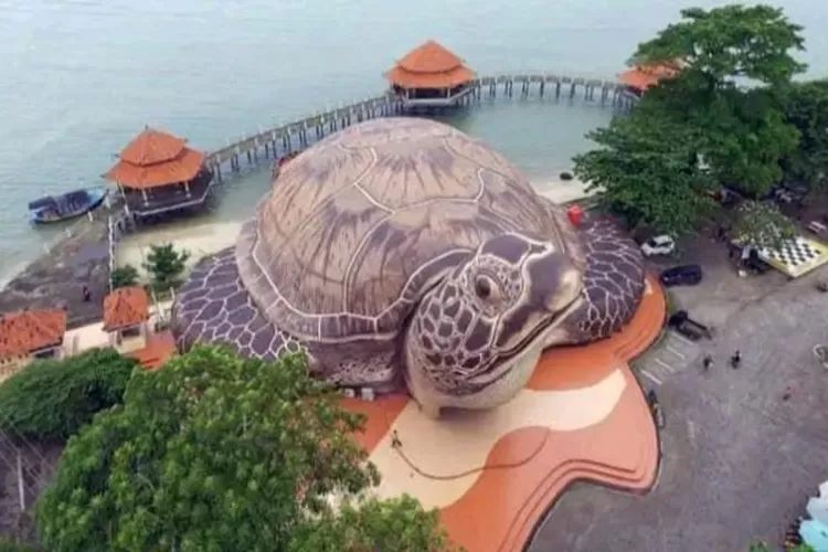 Sama Serunya Dengan Sea World Ancol Jakarta Kamu Bisa Temukan Penyu