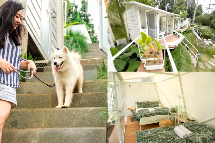 Ada Glamping Site Dengan View Alam Yang Pet Friendly Di Bandung Cocok