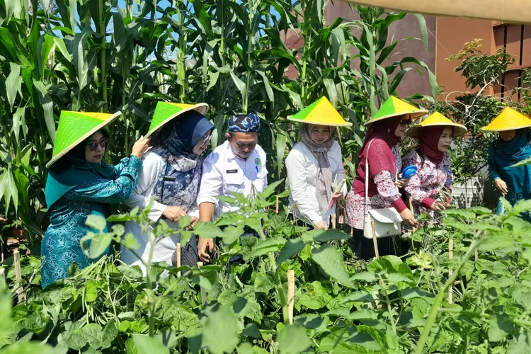 PKK Sawangan Manfaatkan Pangan Untuk Tekan Stunting Radar Depok