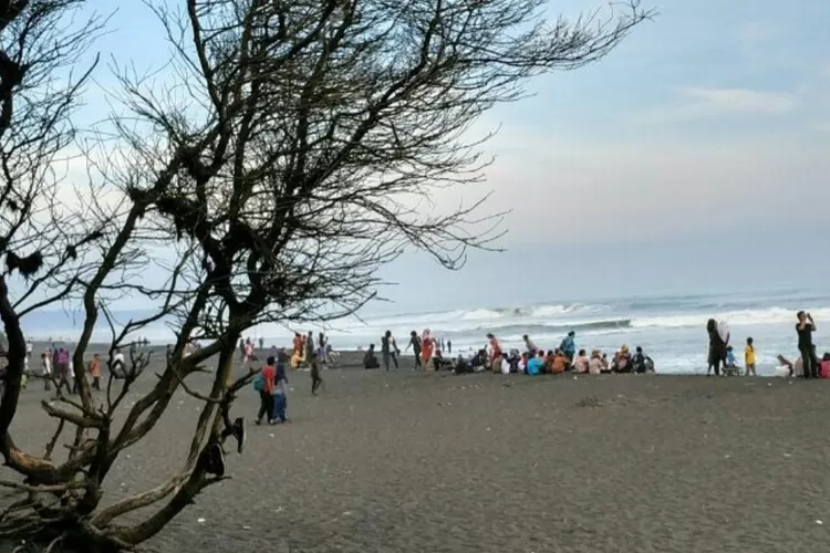 Alasan Pantai Goa Cemara Yogyakarta Wajib Dijadikan Pilihan Liburan