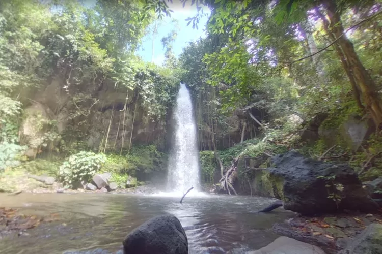 Wisata Hidden Gem Banyuwangi Air Terjun Selogiri Bisa Menjadi Pilihan