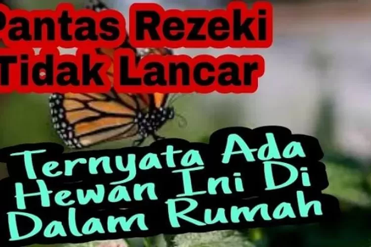 Termasuk Kupu Kupu Dan Ular Kobra Berikut Ini Hewan Pembawa Sial Dan