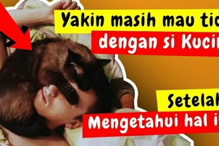 Keistimewaan Orang Yang Nekat Tidur Bersama Kucing Salah Satunya