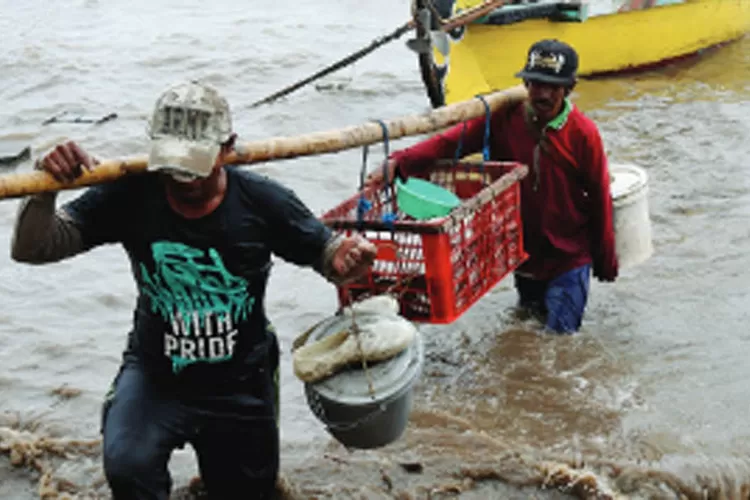 Tangkapan Ikan Nelayan Di Kota Pasuruan Berkurang Radar Bromo