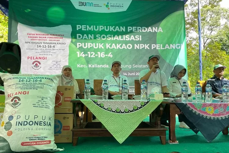 Pupuk Subsidi Kakao Sudah Bisa Ditebus Di Lampung Pastikan Anda Punya