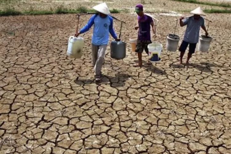 Dampak El Nino Desa Alami Kekeringan Dan Krisis Air Bersih Dian Timur