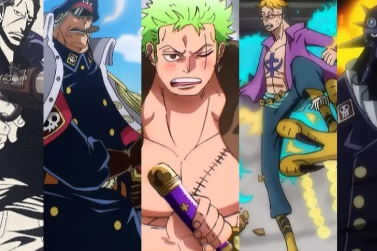 One Piece 5 Karakter Terkuat Sebagai Wakil Kapten Bajak Laut Zoro