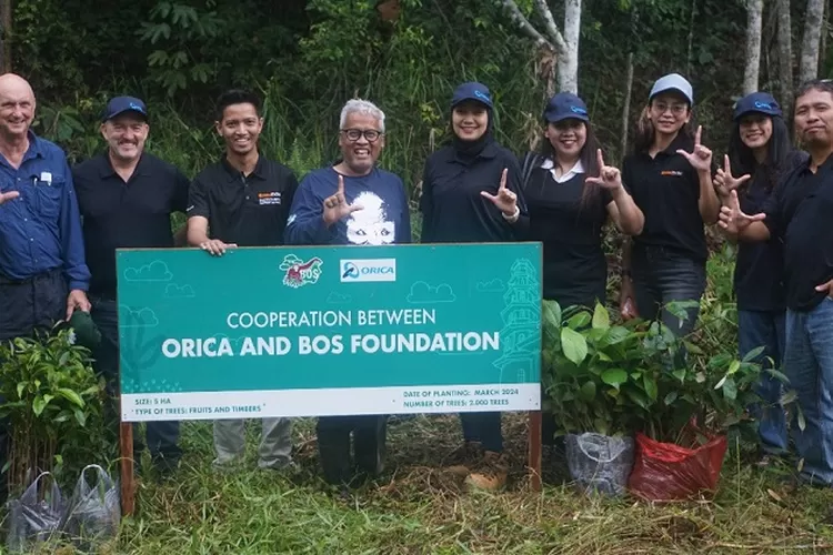 Orica Bermitra Dengan Bosf Untuk Melestarikan Habitat Orangutan Dan