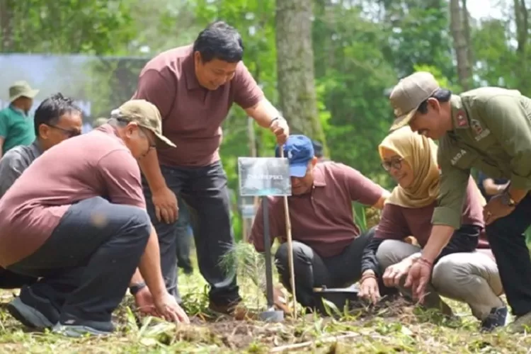 Warisan Istimewa Untuk Kelestarian Dan Kesejahteraan Menanam Pohon