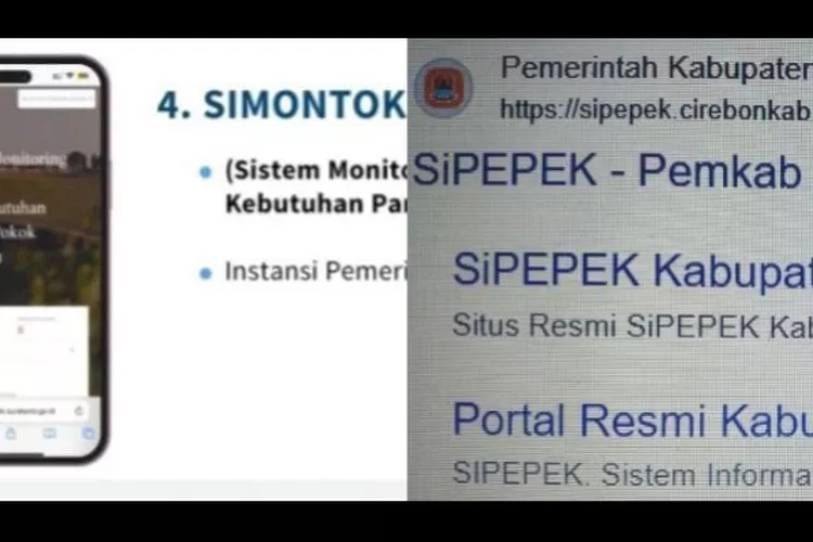 Viral Nama Aplikasi Layanan Publik SiPEPEK SiMONTOK Hingga IPubers