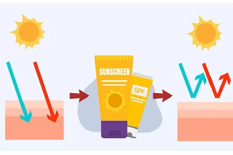 Punya Fungsi Sama Ini Perbedaan Chemical Dan Physical Sunscreen