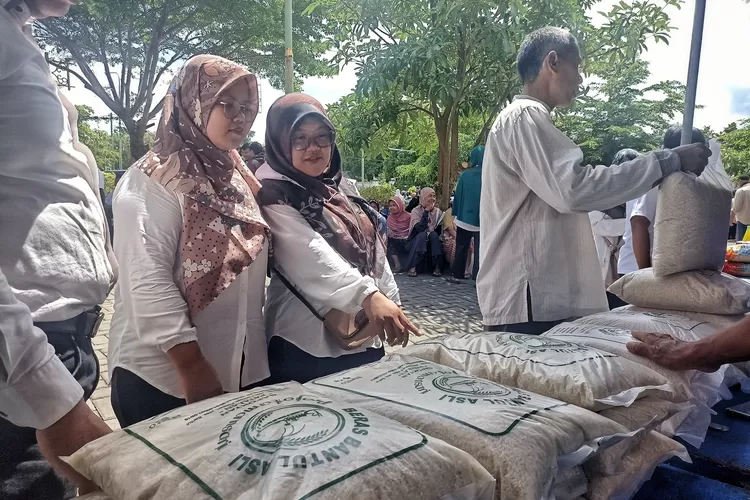 Harga Beras Masih Stabil Tinggi Upaya Pasar Murah Gandeng Distributor