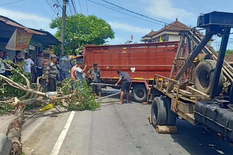 Sopir Mengantuk Truk Tabrak Pohon Dan Terguling Di Mengwi Badung