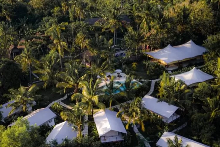 Autentik Penida Glamping Ada Di Tengah Hutan Bisa Nikmati Glamping