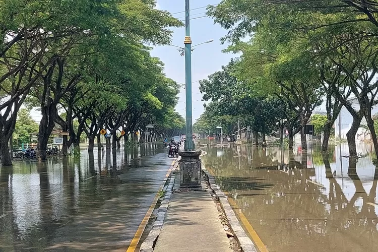 Banjir Belum Sepenuhnya Surut Jalan Pantura Demak Kudus Masih Ditutup