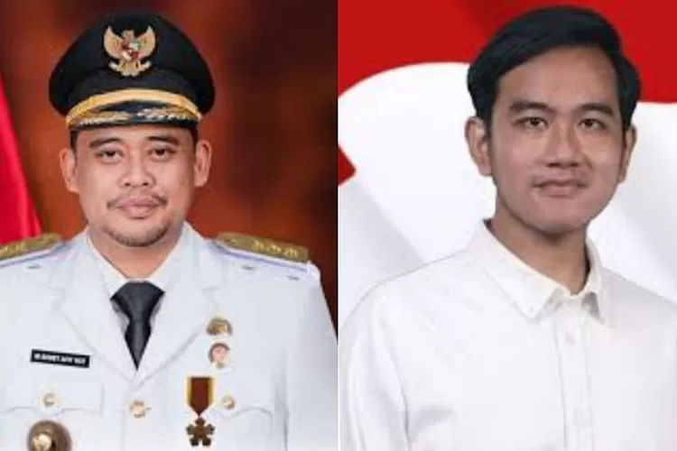 Intip Perbandingan Harta Gibran Dan Bobby Nasution Mereka Ternyata