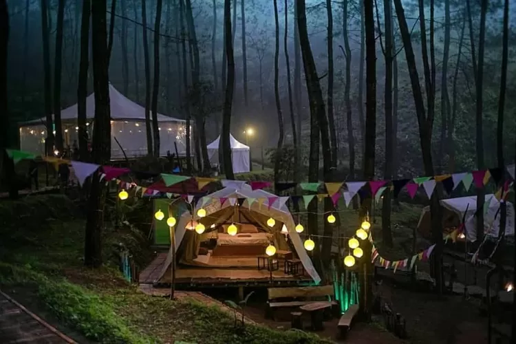 Glamping DeLoano Nikmati Pesona Camping Hits Di Tengah Hutan Pinus