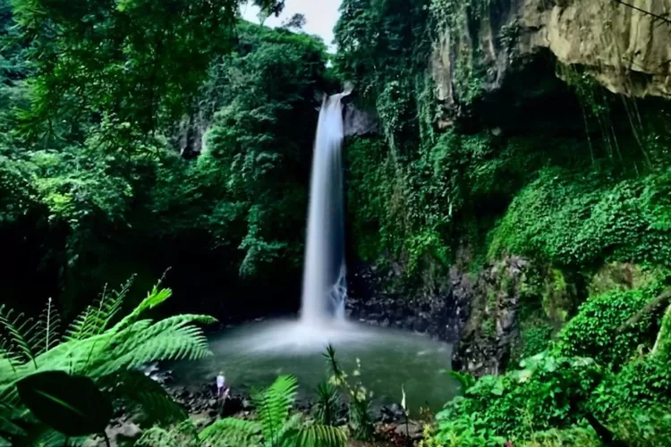 Wisata Coban Jahe Malang Eksplorasi Pesona Alam Dan Petualangan Seru