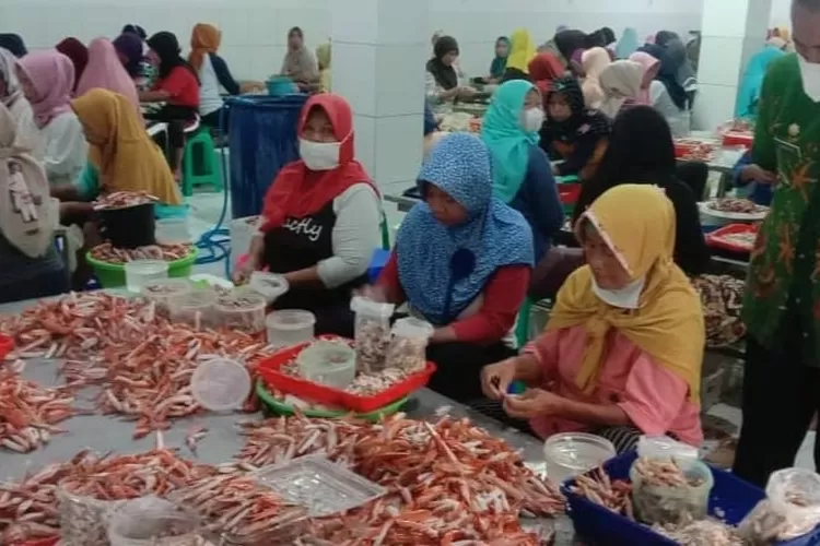 Warga Keluhkan Bau Busuk Limbah DLH Brebes Bukan Dari Pabrik