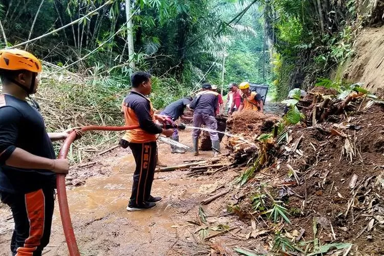 Cuaca Ekstrem Tebing Longsor Dan Pohon Tumbang Di Tabanan Radar Bali