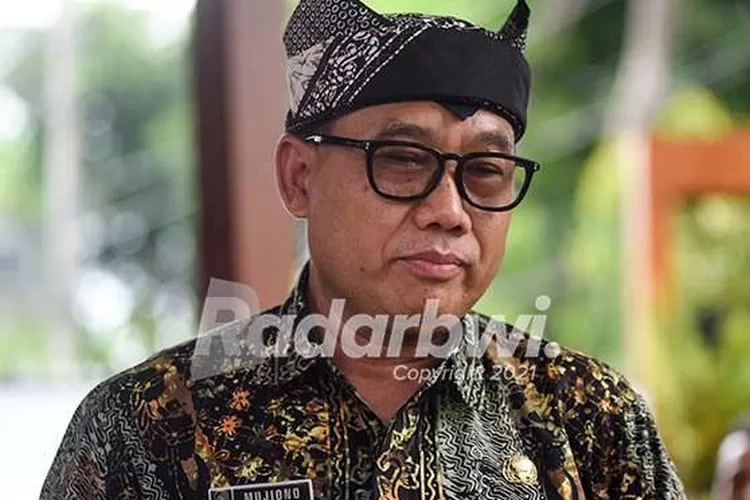 Separo Lebih Pendaftar Cpns Gagal Lolos Seleksi Administrasi Radar