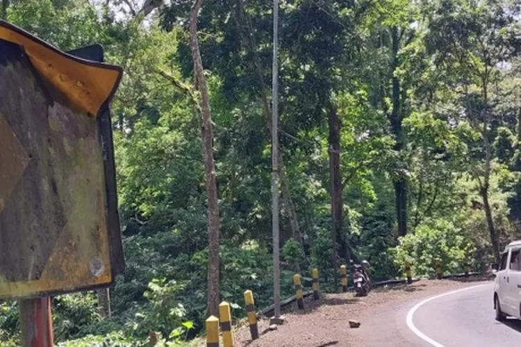 Kondisi Rambu Lalu Lintas Di Jalur Gumitir Radar Jember