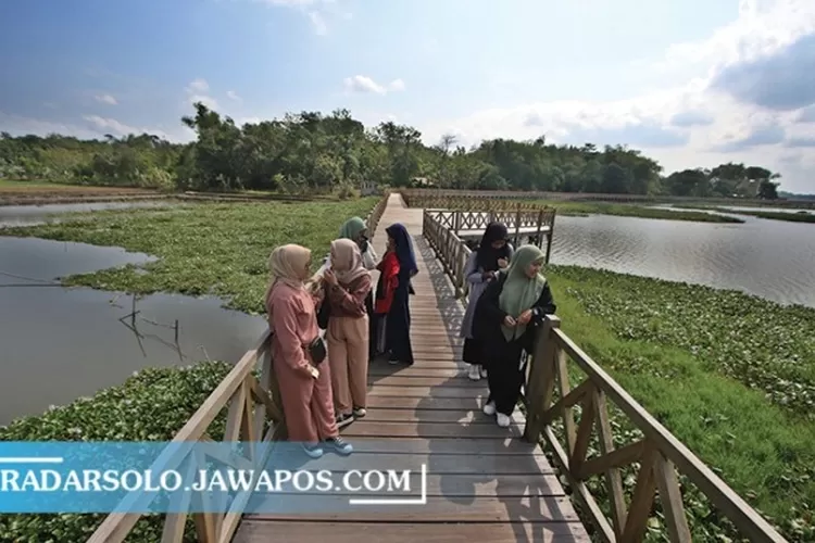 Jembatan Kayu Waduk Cengklik Jadi Tempat Favorit Swa Foto Radar Jember