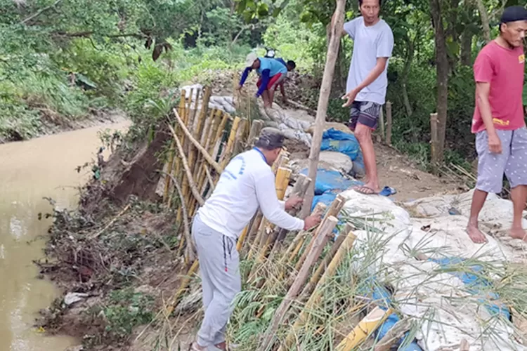 Belum Ada Tindakan Bbws Warga Di Pati Gotong Royong Perbaiki Tanggul