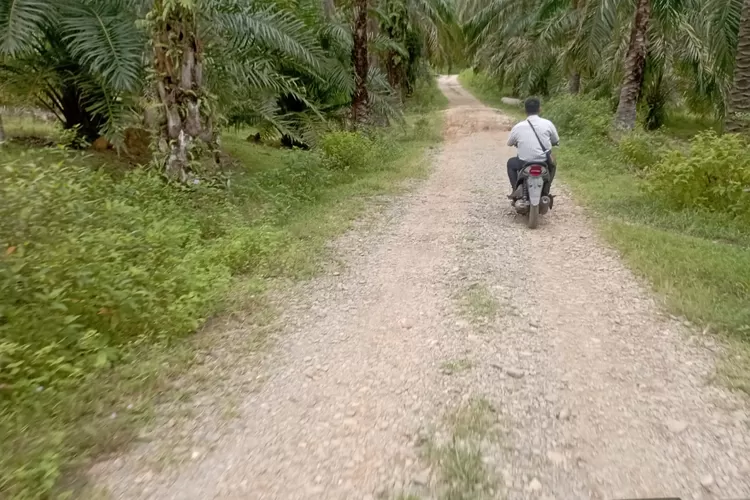 Duh Proyek Penyirtuan Jalan Usaha Tani Di Dusun Cinta Maju Langkat