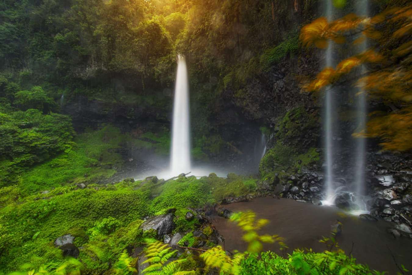 15 Rekomendasi Curug Di Bogor Yang Memanjakan Mata Harga Terjangkau