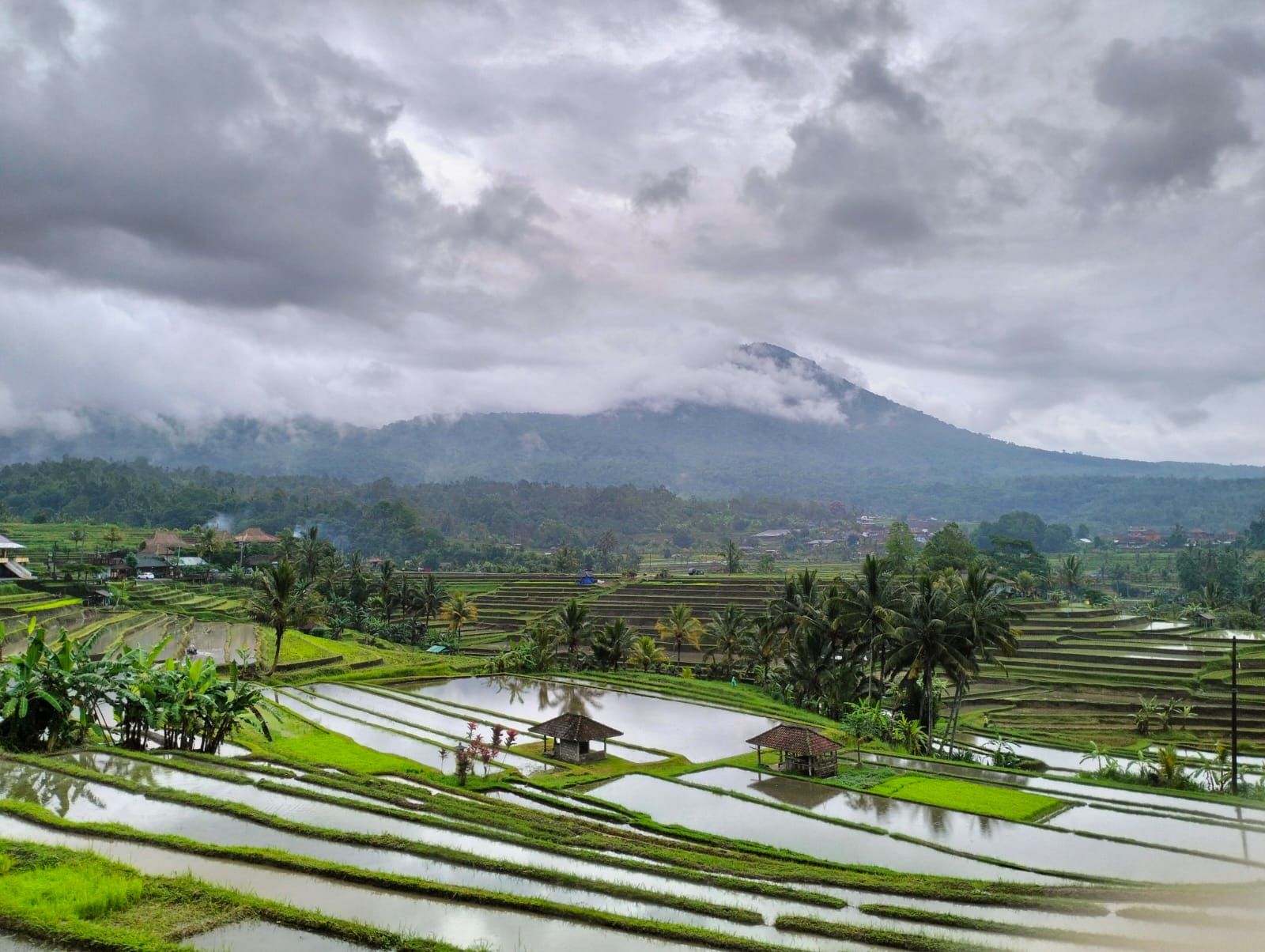 Wwf Bagi Pariwisata Budaya Bali Pos Bali Halaman