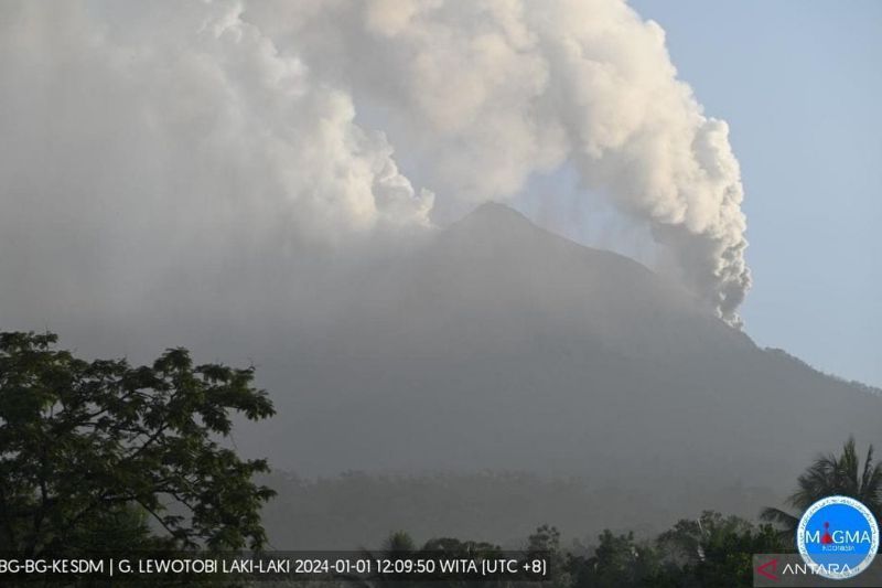 Gunung Lewotobi Laki Laki Di NTT Meletus Ribuan Warga Segera Mengungsi