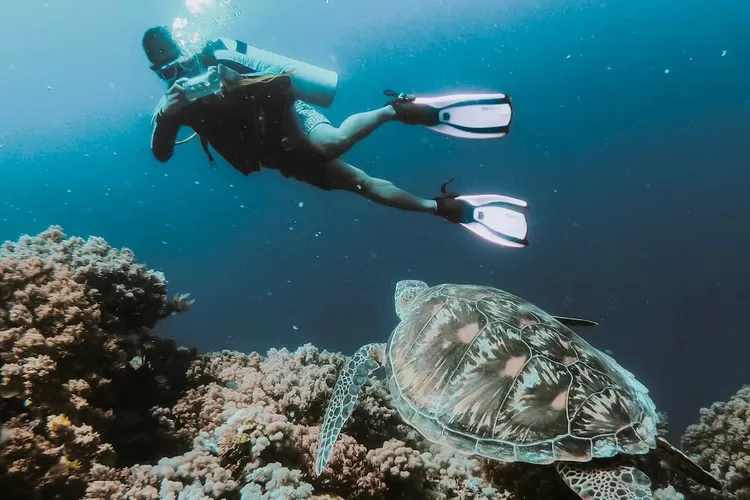 Indahnya Pulau Bunaken Surganya Para Penyelam Dan Snorkling Batu Network