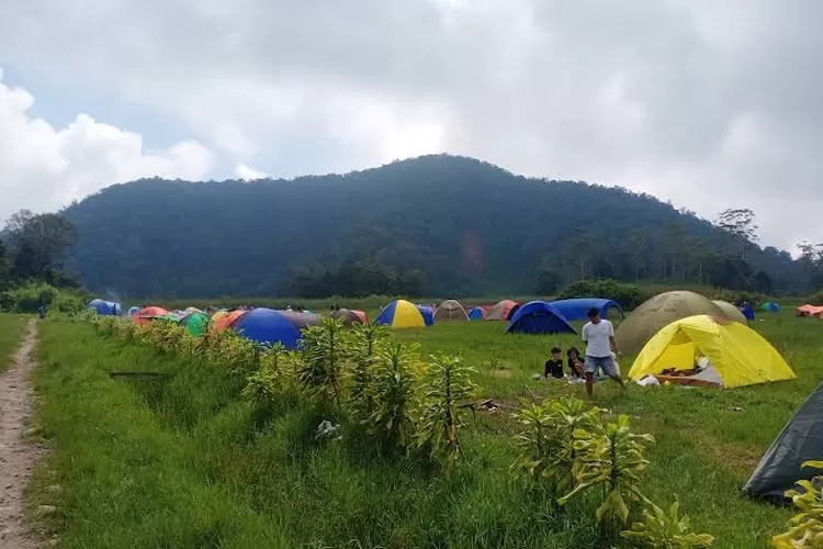 Tempat Camping Terbaik Di Ciwidey Bandung Pengalaman Outdoor Yang Tak