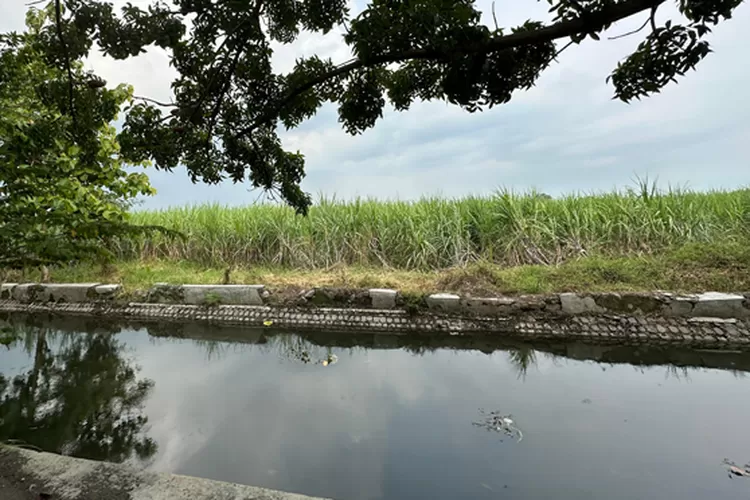 Progres Pengadaan Lahan Relokasi Rsud Jombang Buram Bikin Dprd Geram