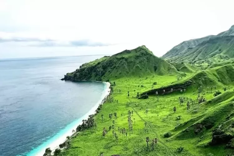 Inilah Keindahan Wisata Pantai Wade Di Pulau Lembata NTT Pantai Yang