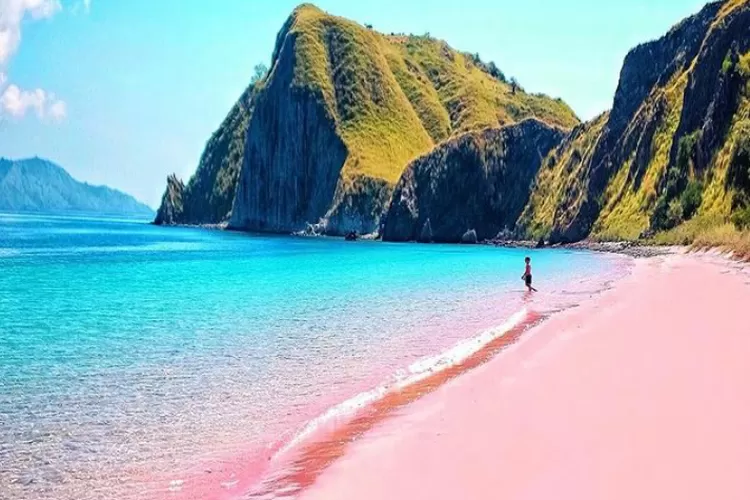 Labuan Bajo Pink Beach Unique And Beautiful Tourism On Komodo Island Unews