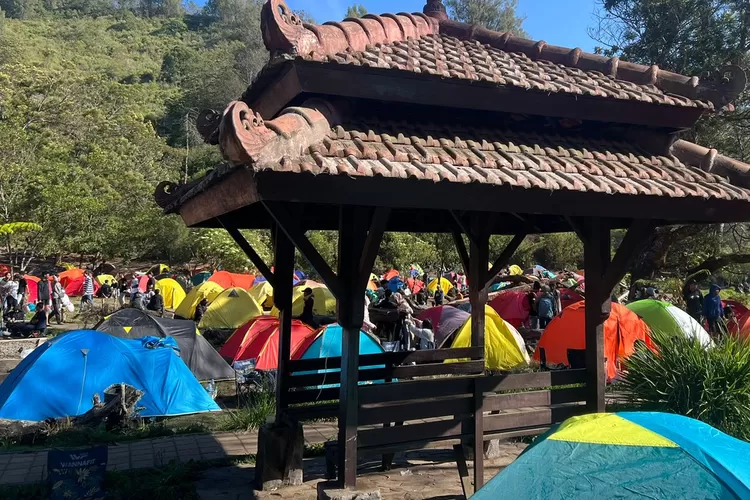 Ranu Regulo Lumajang Rekomendasi Wisata Camping Alam Bareng Keluarga