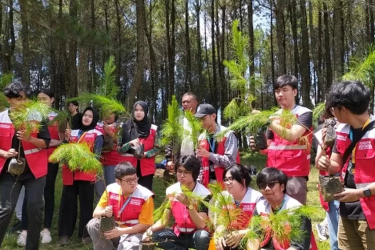 Lestarikan Kawasan Hutan Mahasiswa Binus Bandung Bersama LMDH Dan