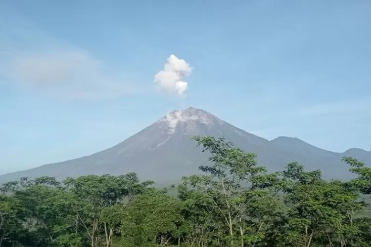 Kembali Erupsi Di Tahun 2022 Berikut Sejarah Erupsi Gunung Semeru Yang