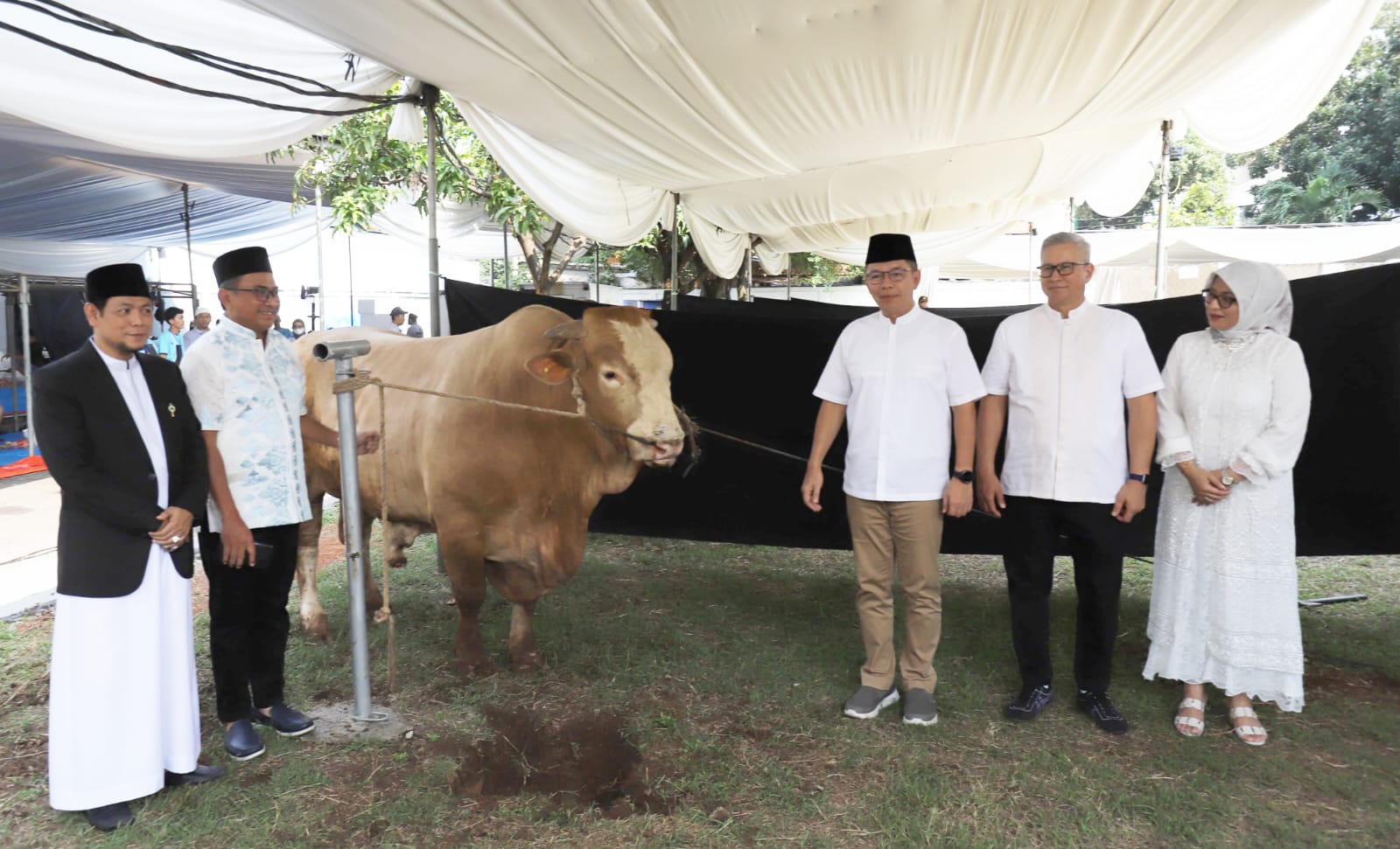 Bagikan Daging Hewan Kurban Idul Adha H Ke Masyarakat