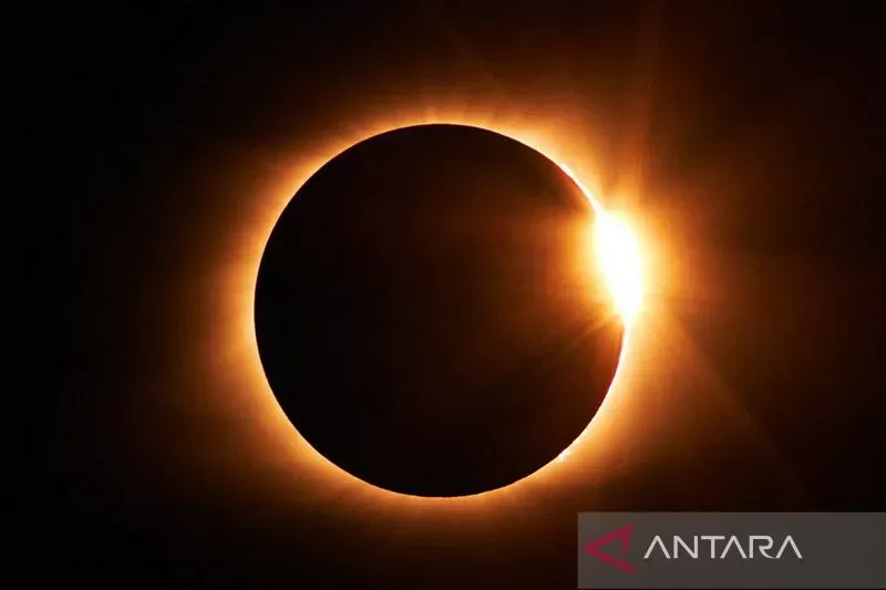Gerhana Matahari Hibrida Besok, Umat Islam Diminta Perbanyak Istighfar (ilustrasi)/Antara