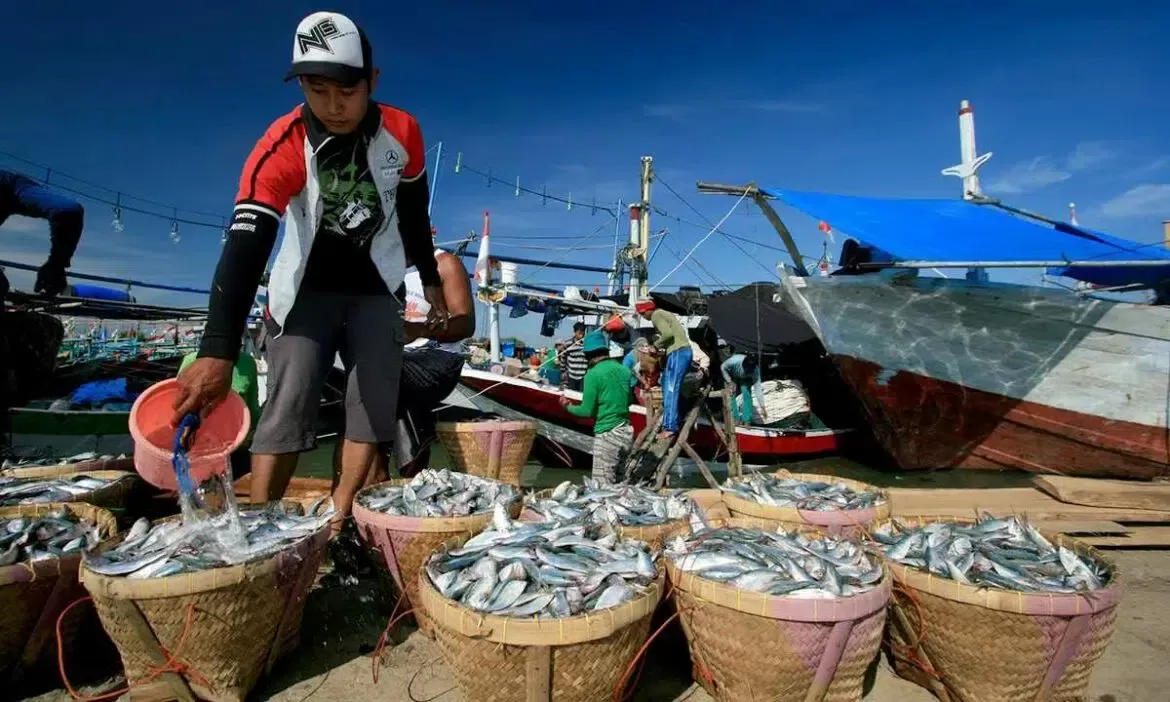 Program Smart Fisheries Village (SFV) atau desa perikanan cerdas berhasil mendongkrak Penerimaan Negara Bukan Pajak (PNBP) pada subsektor SDM Kelautan Perikanan. foto: ist